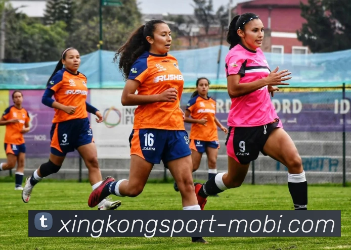 星空体育APP 高清赛事图